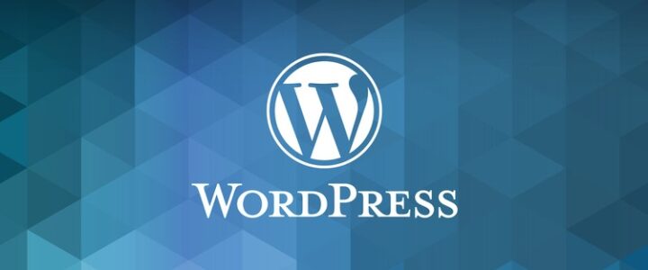 Belajar Seo Wordpress